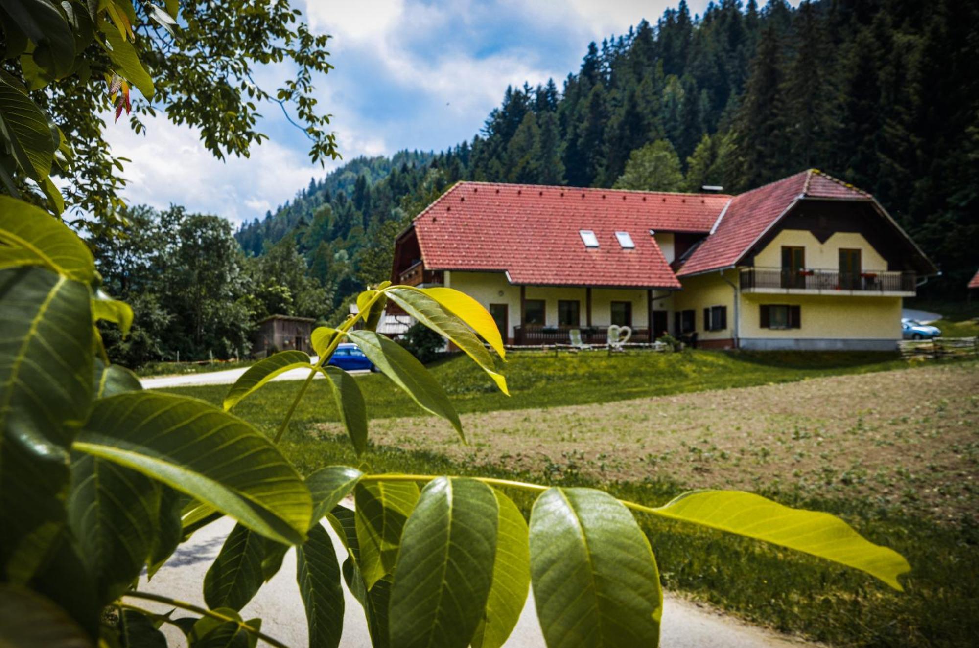 Farm Stay Loger Ljubno エクステリア 写真