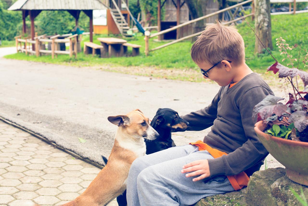 Farm Stay Loger Ljubno エクステリア 写真